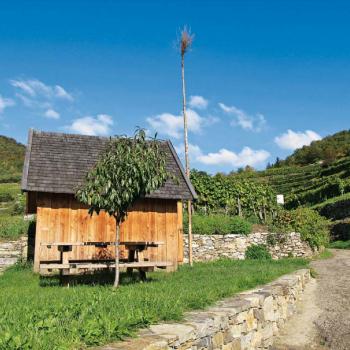 Hiatahütte in den Weinbergen bei Spitz - (c) Rother Bergverlag