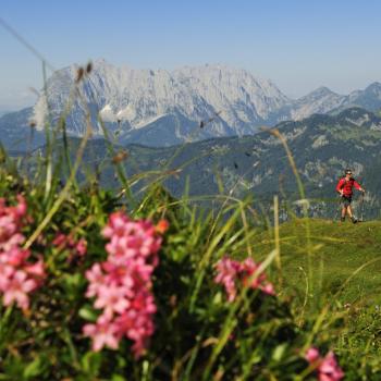 Wundervolles Wandern im Chiemgau - (c) Norbert Eisele-Hein