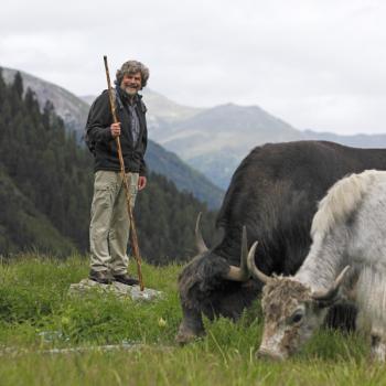 Viel hat Reinhold Messner zu erzählen von seinen Projekten, wie die Yaks Zucht im Vinschgau