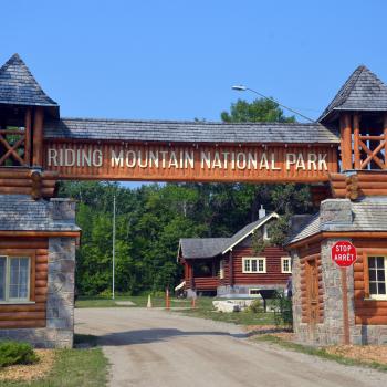 Kanadas Ruf der Prärie in Manitoba - Riding Mountain National Park - (c) Jörg Berghoff