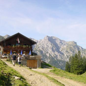 Mit der Karwendel-Bergbahn auf den Zwölferkopf, auf dem die Gleitschirmflieger abheben und den Himmel bei guter Thermik stürmen. Ein wenig zuschauen, dann vielleicht auf der urigen Bärenbadalm einkehren, die nach einer halben Stunde erreicht ist - (c) Achensee Tourismus