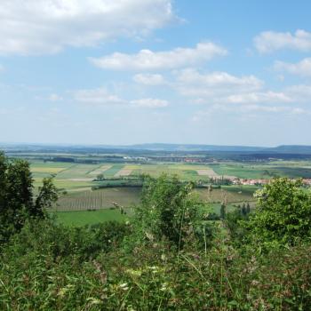 Steigerwald-Panoramaweg - Ausblick zum Stollberg - (c) Tourismusverband Steigerwald