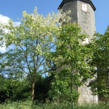 Steigerwald-Panoramaweg - Castell, Turm des einstigen oberen Schlosses - (c) Tourismusverband Steigerwald