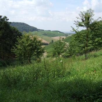 Steigerwald-Panoramaweg - Bei Castell am Mahrenberg - (c) Tourismusverband Steigerwald