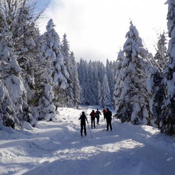 Der Thurner törnt an, die Skilanglauf-Loipe im Hochschwarzwald - (c) Klaus Pfenning