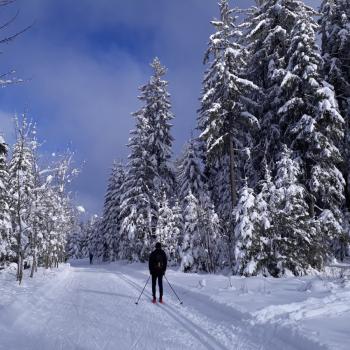 Der Thurner törnt an, die Skilanglauf-Loipe im Hochschwarzwald - (c) Klaus Pfenning