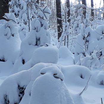 Der Thurner törnt an, die Skilanglauf-Loipe im Hochschwarzwald - (c) Klaus Pfenning