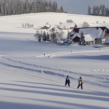 Der Thurner törnt an, die Skilanglauf-Loipe im Hochschwarzwald - (c) Klaus Pfenning