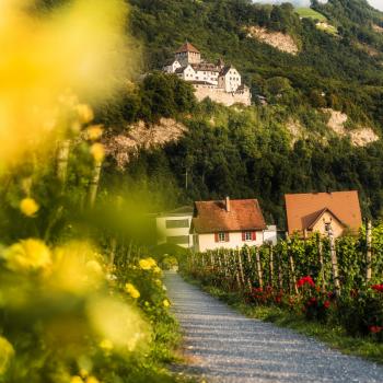 Wandern in den Weinbergen rund um das Schloss Vaduz in Liechtenstein - (c) Liechtenstein Marketing J. Konrad