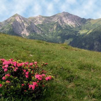 Wandervielfalt in Österreichs Wanderdörfern - Millstätter See, Goldeck Bergbahnen - (c) Latschur Foto