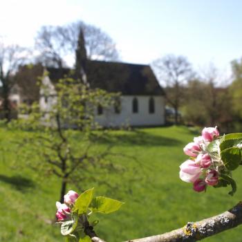 Vordergrund macht Bild gesund, die Blüten transportieren die Jahreszeit in der das Bild entstanden ist bbesonders gut - (c) Jörg Bornmann