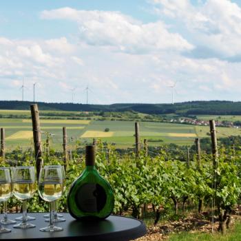Weinwandern im Lieblichen Taubertal, eine wunderbare Region um zu Fuß vieles über Weinbau und -geschichte zu erfahren - (c) Tourismusverband Liebliches Taubertal / Tom Weller