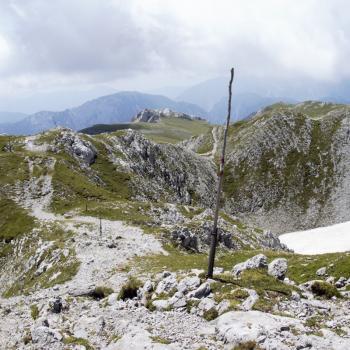 Am Hochschwab in der Hochsteiermark gehören Tierbeobachtung und Pflanzengenuss mit Garantie zum Wandern - (c) Jörg Bornmann