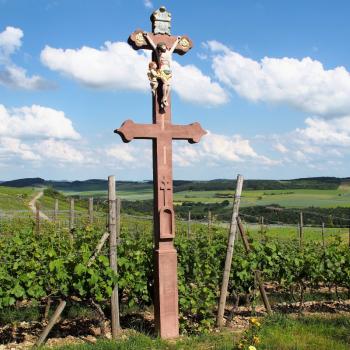 Weinwandern im Lieblichen Taubertal, eine wunderbare Region um zu Fuß vieles über Weinbau und -geschichte zu erfahren - (c) Tourismusverband Liebliches Taubertal / Tom Weller