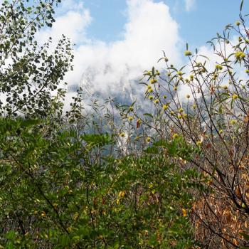 Das Wandern abseits der ausgetrampelten Pfade versprechen - (c) Jörg Bornmann