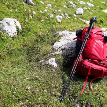 Am Hochschwab in der Hochsteiermark gehören Tierbeobachtung und Pflanzengenuss mit Garantie zum Wandern - (c) Jörg Bornmann