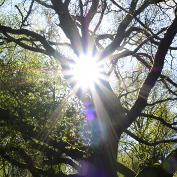 Wunderbare Sonnenstimmung gilt es auch beim Fotokurs einzufangen - (c) Sandra Geschrey