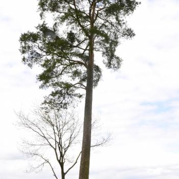 Hier wurde der Rahmen sehr großzügig gewählt und vermittelt die Weite der Landschaft - (c) Sandra Geschrey