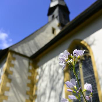 Auch hier steht die Blüte im Fordergrund, doch die Perspektive verändert die Wirkung der Kirche - (c) Sandra Geschrey