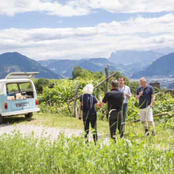 Wein in seinen schönsten Facetten bei der Panorama-Weintour im VW-Bulli erleben - (c) 5*-Hotel Ansitz Plantitscherhof