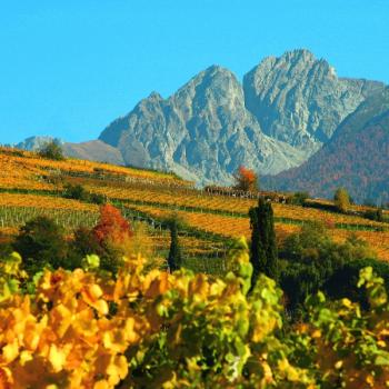 Herbststimmung in Algund Südtirol