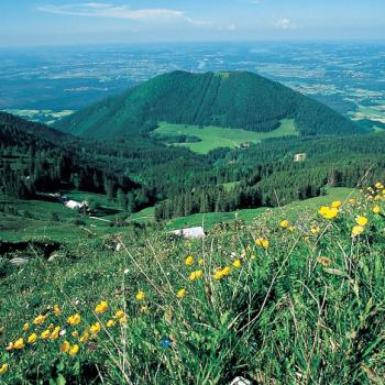 Almen über Brannenburg - Rampoldplatte und Hochsalwand – zwei Gipfel über dem Inntal, die nicht allzu oft in den Tourenbüchern der Wanderer auftauchen - <a href="https://www.wanderfreak.de/almen-ueber-brannenburg" target="_blank">Zur Tourbeschreibung</a> - (c) Rother Bergverlag