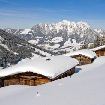 Alpbachtal Freeriden im Pulverschnee