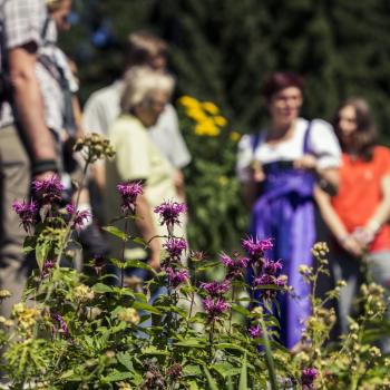 Kleinwalsertal Entschleunigen Genuss Region Kräuter