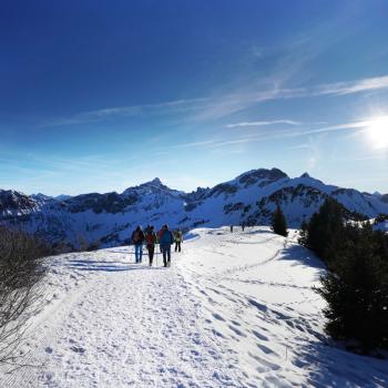 Am Scheitelpunkt der Wanderung macht der Weg eine Spitzkehre - Winterwanderung auf dem Neunerköpfle - (c) Maren Recken