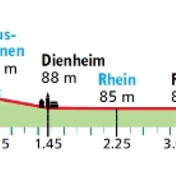 Auf dem Rheinhöhenweg von Guntersblum nach Dienheim, Weinberg bei Oppenheim