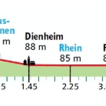 Auf dem Rheinhöhenweg von Guntersblum nach Dienheim, Weinberg bei Oppenheim