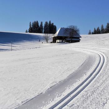 Der Thurner törnt an, die Skilanglauf-Loipe im Hochschwarzwald - (c) Klaus Pfenning