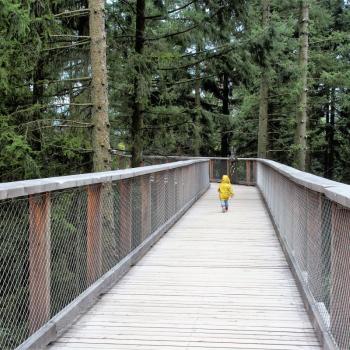 Der Baumwipfelpfad Saarschleife - durch die Wipfel des Waldes bis zum Aussichtsturm über der Saarschleife - (c) Jörg Bornmann