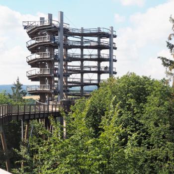 Buchnas Landhotel Saarschleife, ideal für Familien und Aktivurlauber - (c) Jörg Bornmann