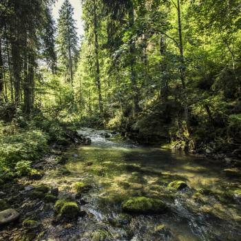 Kleinwalsertal Entschleunigen Genuss Region Kräuter