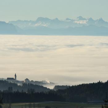 Panoramablick im Mühlviertel - (c) Hotel AVIVA