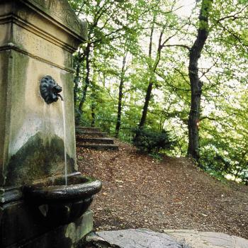 Biosphärenpark Wienerwald - Sängersbrunnen - (c) Wienerwald Tourismus GmbH