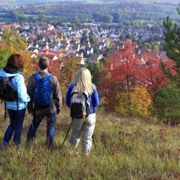 Wandervergnügen mit Qualitätssiegel - Vier Routen im „Lieblichen Taubertal“ besitzen Prädikat - (c) Liebliches Taubertal