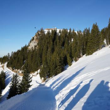 Der Blick auf das Neuenerköpfle - Winterwanderung auf dem Neunerköpfle - (c) Maren Recken