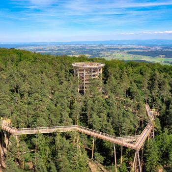 Baumwipfelpfad Elsass - Hochgefühle auf den Baumwipfelpfaden der Erlebnis Akademie AG - (c) Erlebnis Akademie AG