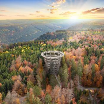 Baumwipfelpfad Schwarzwald - Hochgefühle auf den Baumwipfelpfaden der Erlebnis Akademie AG - (c) Erlebnis Akademie AG