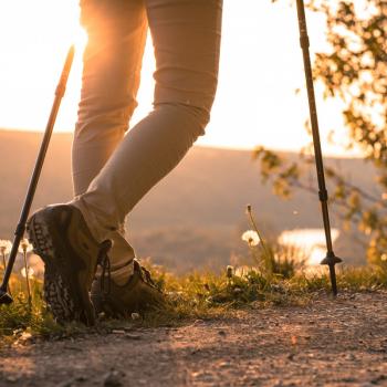 Wandern, wo der Rotwein wächst - (c) Churfranken e.V./News Verlag