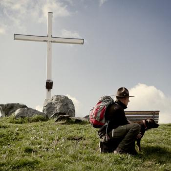 „Wandern mit Hund“ auf den Top Trails of Germany - durch Wald und Wiesen mit dem Vierbeiner: Die schönsten Wandertouren mit Hund auf den 13 deutschen Spitzenwanderwege - (c) Top Trails of Germany