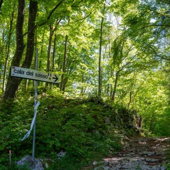 4.444 Stufen bergauf – Calà del Sasso - (c) Maren Recken