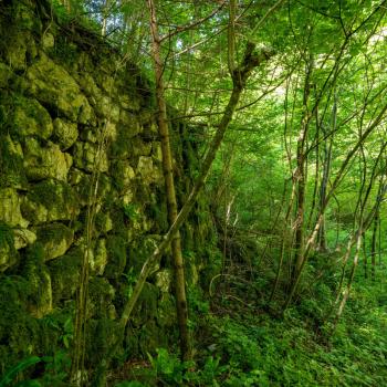 4.444 Stufen bergauf – Calà del Sasso - (c) Maren Recken