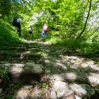 4.444 Stufen bergauf – Calà del Sasso - (c) Maren Recken