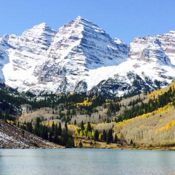 Espenwälder in Colorado