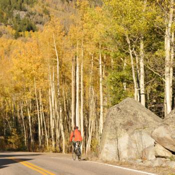 Espengelb im Herbst in Colorado beim Fahrradfahren