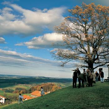 Über den Dandlberg, 910 m - Abwechslungsreiche Runde im Samerberger Wanderparadies - <a href="https://www.wanderfreak.de/ueber-den-dandlberg-910-m-4-std" target="_blank">Zur Tourbeschreibung</a> - (c) Rother Bergverlag