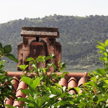 Mattinata, im apulischen Vorgebirge des Gargano, trägt den Beiname „Stadt der wild wachsenden Orchideen“ - (c) Jörg Bornmann